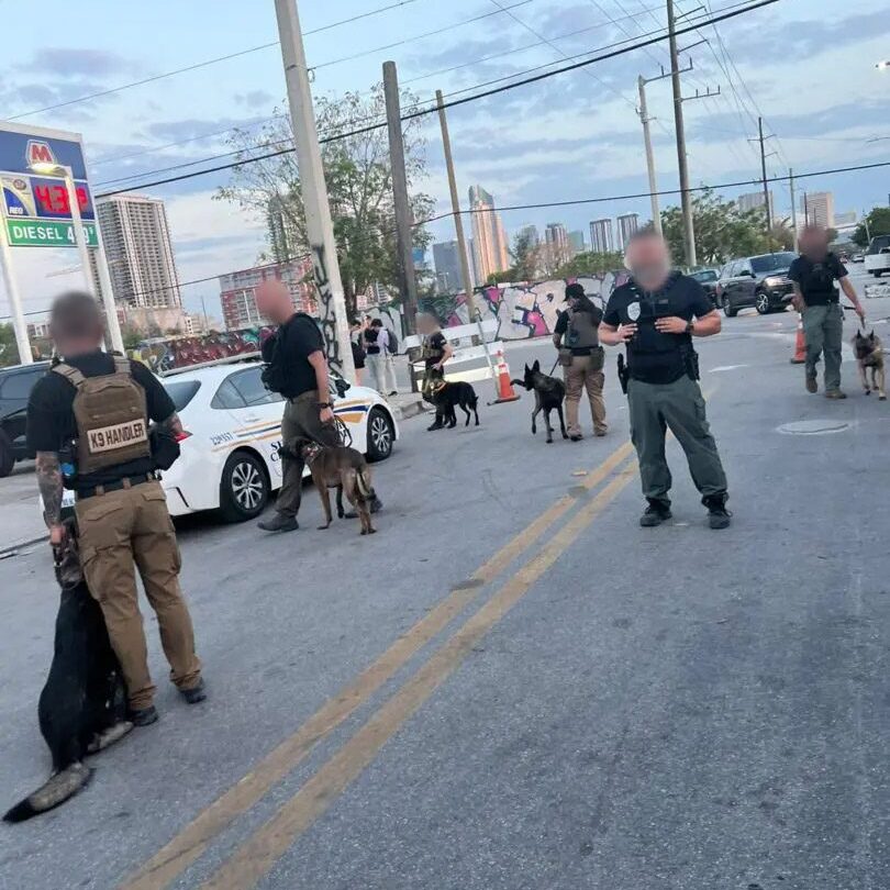 A group of people with guns on the side of the road.